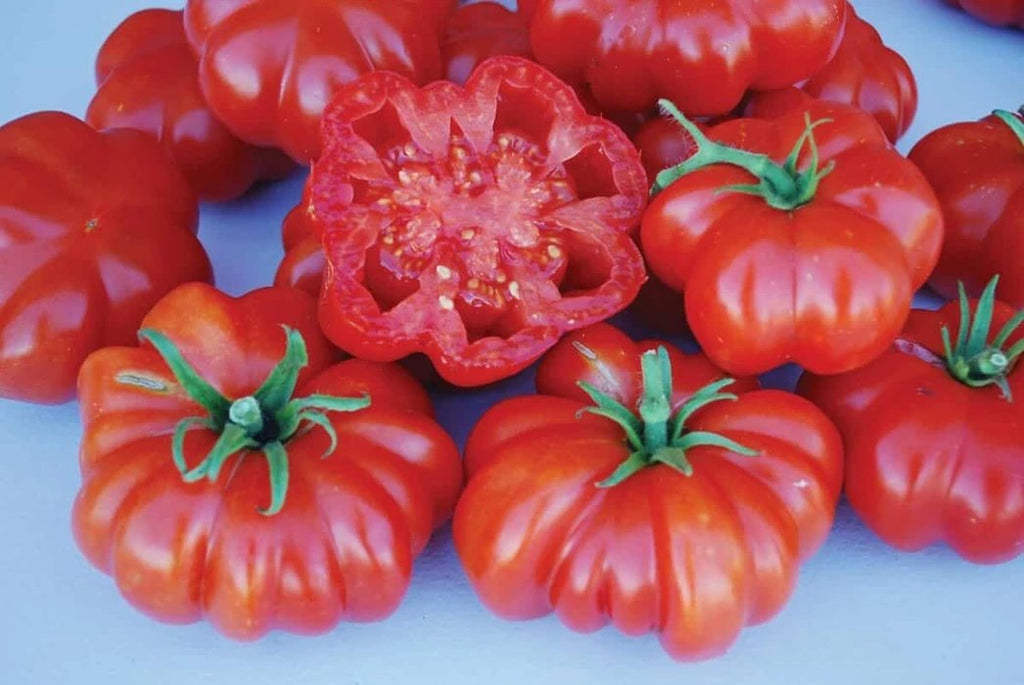 Rosso Sicilian Tomato