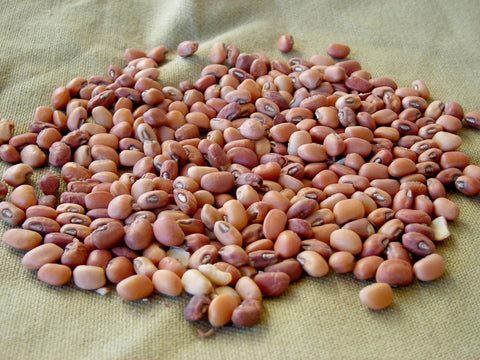 Iron and Clay Southern Pea