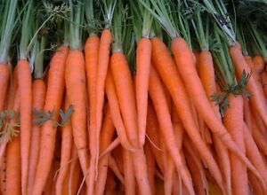Tendersweet Carrots