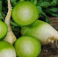 Wasabi Radish
