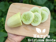 White Wonder Cucumber