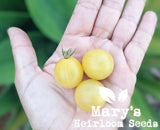 White Cherry Tomato