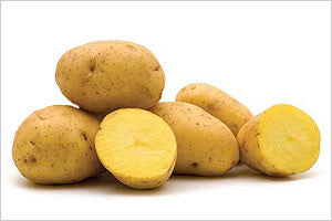 Yukon Gold Seed Potato