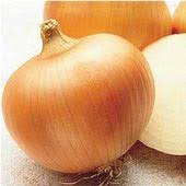 Yellow Sweet Spanish Onion