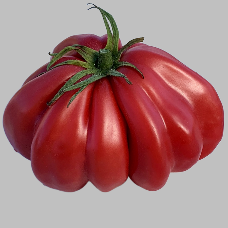 Zapotec Oaxacan Ribbed Tomato – Mary's Heirloom Seeds Zapotec Oaxacan Ribbed Tomato – Mary's Heirloom Seeds
